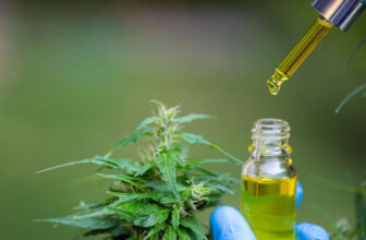 Beyond Cannabinoids: Unlocking Cannabistilbenes