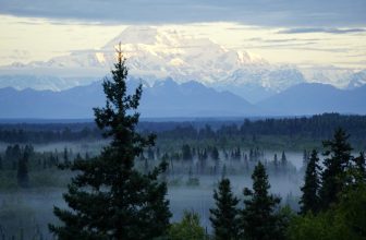 Our Summer Alaska Adventure – No Back Home