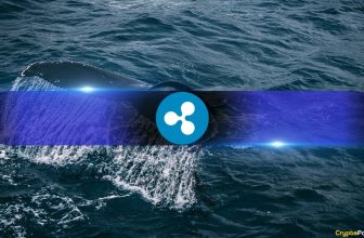 XRP Whales Now Control 68.5% of Supply, Highest Level Since 2022