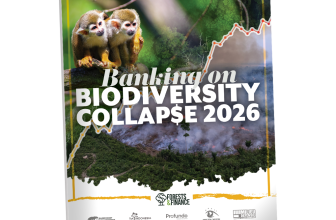 New Global Analysis Finds Banks Pumped USD 595 Billion into High-Risk Agribusiness and Mining in Tropical Forest Regions Since 2020 – The Understory