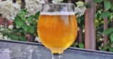 Pints with Polk: From Bad Beer to Exceptional Pints : Rise Up