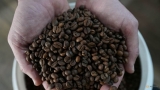 US tariffs on Brazilian instant coffee would hit US consumers and businesses, industry says