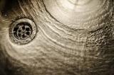 Drain Flies in Singapore – Greencare Pest Control & Cleaning
