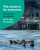 The ocean connects us. 🌊