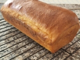 Judy’s Gross Eats: TWD/BWD: Brioche