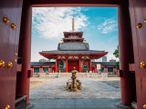 Osaka Bike Tours | Best Bike Tours to Explore Osaka Like a Local