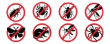 What Microhabitat Connectivity Factors Does Pest Control Analyze to Disrupt Pest Movement Between Indoor and Outdoor Environments?