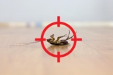 How Does Pest Control Utilize Ecological Niche Modeling to Anticipate Infestation Pressure Across Changing Environmental Conditions?