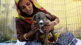 Puppy’s eye ruptured in a car accident, but we got him in time!