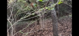 The Importance of Soil Samples for Plant Healthcare | Westover Hills, Texas
