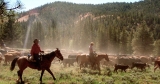 Farmers Renew Call to End Increased Beef Imports | News Release