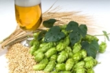 Do First Wort Hops Make Your Beer Better? – BeerSmith Home Brewing Blog