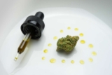 The 25 Best CBD Oil’s In The UK