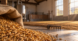 Craft Malt’s Big Moment Has an Economics Problem
