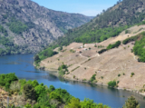Ribeira Sacra, Wines of Galicia: Heroic Viticulture in the Cañón do Sil – Wine blog UK