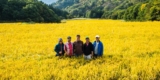 Sake Industry News. Issue #160