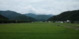 Sake Industry News. Issue #163.