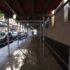 El Mercado De Pescado – The Dembow Fish Market Case: Browne v. Donalds