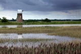 14 Books set in Norfolk